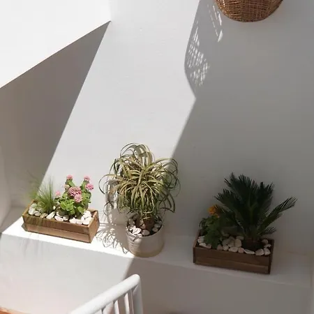 A Casa De Cima - Cacela Velha 住宿加早餐酒店