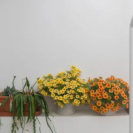 Bed & Breakfast A Casa De Cima - Cacela Velha