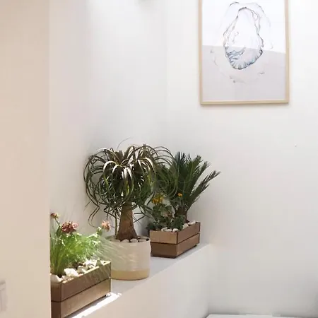 A Casa De Cima - Cacela Velha B&B 빌라노바데카셀라