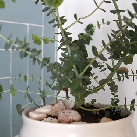 A Casa De Cima - Cacela Velha