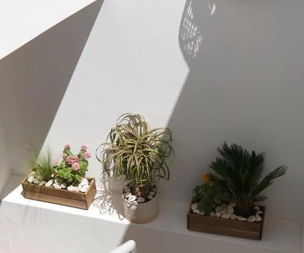 A Casa De Cima - Cacela Velha לינה וארוחת בוקר